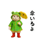 お猫様の吹き出しスタンプ4（個別スタンプ：2）