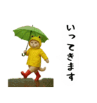 お猫様の吹き出しスタンプ4（個別スタンプ：4）
