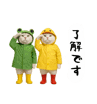 お猫様の吹き出しスタンプ4（個別スタンプ：5）