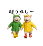 お猫様の吹き出しスタンプ4（個別スタンプ：7）