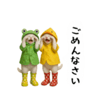 お猫様の吹き出しスタンプ4（個別スタンプ：8）