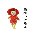 お猫様の吹き出しスタンプ4（個別スタンプ：12）