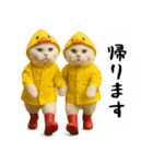 お猫様の吹き出しスタンプ4（個別スタンプ：14）