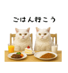 お猫様の吹き出しスタンプ4（個別スタンプ：15）