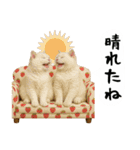 お猫様の吹き出しスタンプ4（個別スタンプ：22）