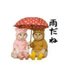 お猫様の吹き出しスタンプ4（個別スタンプ：23）
