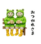 お猫様の吹き出しスタンプ4（個別スタンプ：27）