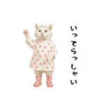 お猫様の吹き出しスタンプ4（個別スタンプ：28）