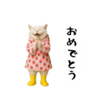 お猫様の吹き出しスタンプ4（個別スタンプ：29）