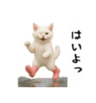 お猫様の吹き出しスタンプ4（個別スタンプ：35）