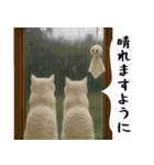 お猫様の吹き出しスタンプ4（個別スタンプ：37）