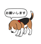 ビーグル(ハウンドカラー)（個別スタンプ：5）
