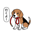 ビーグル(ハウンドカラー)（個別スタンプ：10）
