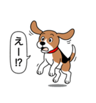 ビーグル(ハウンドカラー)（個別スタンプ：23）