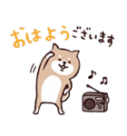 ◯SHIBAINUさん◯梅雨・初夏（個別スタンプ：1）