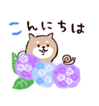 ◯SHIBAINUさん◯梅雨・初夏（個別スタンプ：2）