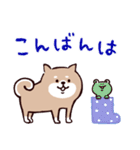 ◯SHIBAINUさん◯梅雨・初夏（個別スタンプ：3）