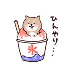 ◯SHIBAINUさん◯梅雨・初夏（個別スタンプ：4）