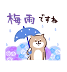 ◯SHIBAINUさん◯梅雨・初夏（個別スタンプ：9）