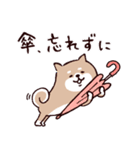 ◯SHIBAINUさん◯梅雨・初夏（個別スタンプ：10）