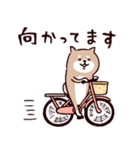 ◯SHIBAINUさん◯梅雨・初夏（個別スタンプ：13）