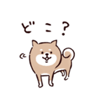 ◯SHIBAINUさん◯梅雨・初夏（個別スタンプ：15）