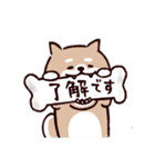◯SHIBAINUさん◯梅雨・初夏（個別スタンプ：17）