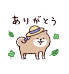 ◯SHIBAINUさん◯梅雨・初夏（個別スタンプ：20）