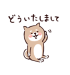 ◯SHIBAINUさん◯梅雨・初夏（個別スタンプ：22）