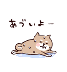 ◯SHIBAINUさん◯梅雨・初夏（個別スタンプ：28）