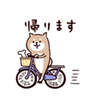◯SHIBAINUさん◯梅雨・初夏（個別スタンプ：31）