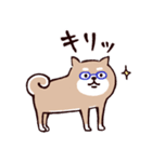 ◯SHIBAINUさん◯梅雨・初夏（個別スタンプ：33）