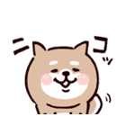 ◯SHIBAINUさん◯梅雨・初夏（個別スタンプ：34）