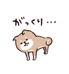 ◯SHIBAINUさん◯梅雨・初夏（個別スタンプ：36）