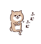 ◯SHIBAINUさん◯梅雨・初夏（個別スタンプ：39）