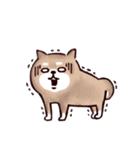 ◯SHIBAINUさん◯梅雨・初夏（個別スタンプ：40）