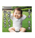 エッホエッホ伝える赤ちゃん【面白い】（個別スタンプ：17）