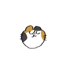 猫田のスタンプ4▼（個別スタンプ：7）