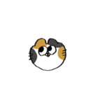 猫田のスタンプ4▼（個別スタンプ：9）