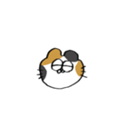 猫田のスタンプ4▼（個別スタンプ：10）