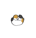 猫田のスタンプ4▼（個別スタンプ：21）