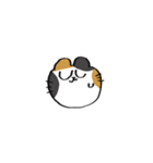 猫田のスタンプ4▼（個別スタンプ：23）