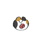 猫田のスタンプ4▼（個別スタンプ：36）