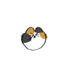 猫田のスタンプ4▼（個別スタンプ：37）