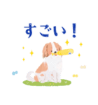 毎日つかえる♡コーイケルホンディエ（個別スタンプ：5）