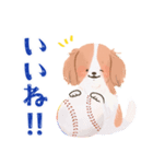 毎日つかえる♡コーイケルホンディエ（個別スタンプ：7）