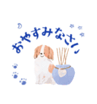 毎日つかえる♡コーイケルホンディエ（個別スタンプ：26）