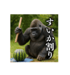 夏キャンプを楽しむゴリラ（個別スタンプ：5）