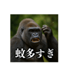 夏キャンプを楽しむゴリラ（個別スタンプ：9）