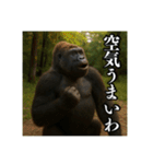 夏キャンプを楽しむゴリラ（個別スタンプ：23）